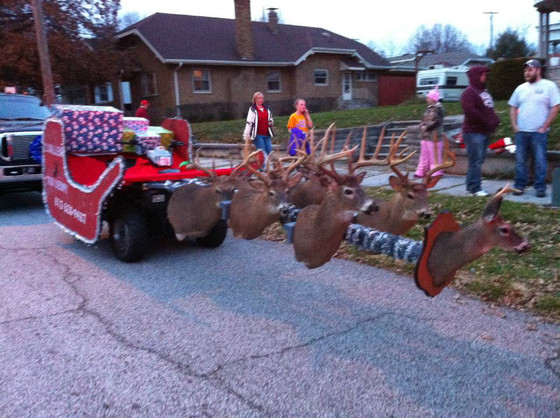 Taxidermy Sleigh Taxidermy Sleigh